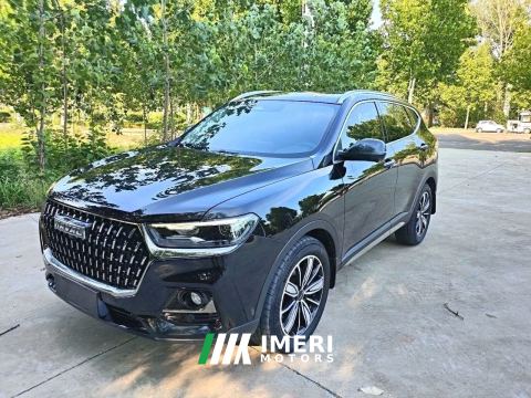 2023 Haval H6 Guochao Edition 1.5T 2WD Champion Edition - ავტომობილი ჩინეთიდან
