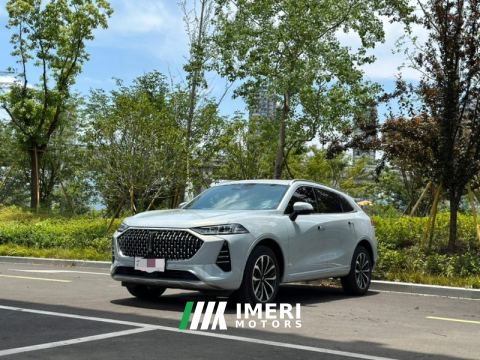2021 Great Wall Mocha fuel Weipai Mocha Fuel Oil 2.0T Two-Wheel Drive Special Edition