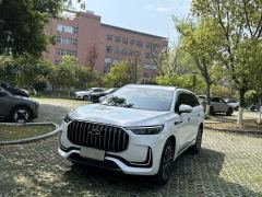 Chery Tiggo 9 2.0T Automatic 2WD Luxury Edition 5-seater - ფოტო 1