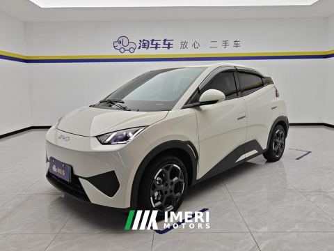 2025 BYD Seagull Smart Drive Edition 405km Edition - ავტომობილი ჩინეთიდან