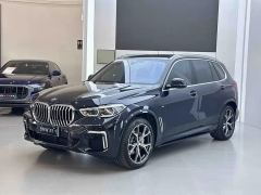 BMW X5 xDrive30Li Deluxe VersionM - ფოტო 1