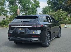 Chery Tiggo 9 2.0T Dual Clutch 2WD Premium Edition 5-seater - ფოტო 12