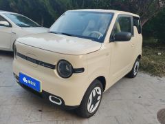 Geely Galaxy Panda mini 210km Yuanqi Bear - фото 1