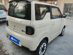 Geely Galaxy Panda mini 210km Yuanqi Bear - фото 2