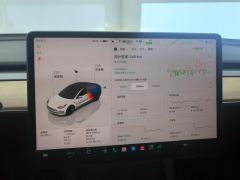 Tesla Model 3 556km Rear-Wheel Drive Edition - ფოტო 17