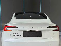Tesla Model 3 634km Rear-Wheel Drive Edition - фото 12