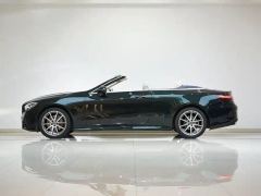 Mercedes-Benz E-Class (Imported) E 260 Coupe - фото 17