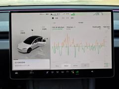 Tesla Model 3 634km Rear-Wheel Drive Edition - фото 10