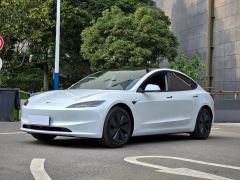 Tesla Model 3 634km Rear-Wheel Drive Edition - фото 3