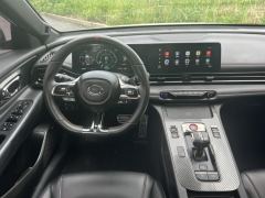 GAC Shadow Leopard 270T J16 Edition - ფოტო 16