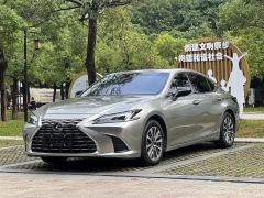 Lexus ES 300h Premium Edition - ფოტო 18
