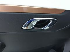 Dongfeng Nano EX1 PRO Edition 201km Version - photo 13