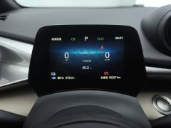 BYD Dolphin 420km Free Version - ფოტო 20