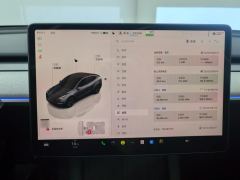 Tesla Model Y 554km Rear-Wheel Drive Edition - ფოტო 17
