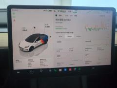 Tesla Model 3 556km Rear-Wheel Drive Edition - ფოტო 20