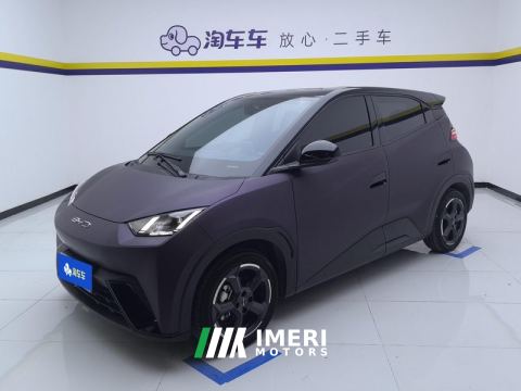 2023 BYD Seagull 305km Free Version - ავტომობილი ჩინეთიდან