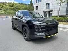 Jetour Jietu Dasheng 1.5T Transcendence Edition - ფოტო 3