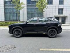 Jetour Jietu Dasheng 1.5T Transcendence Edition - ფოტო 8