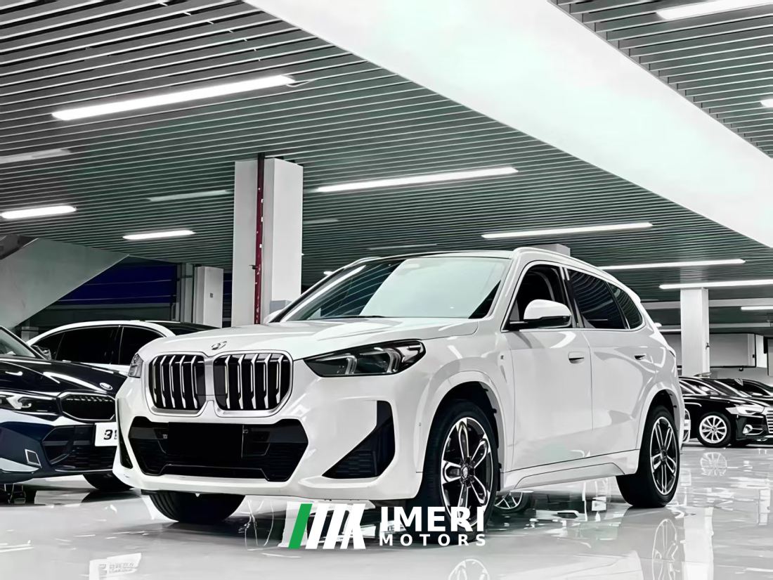 BMW X1 sDrive25Li M Sport Package - car from China