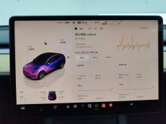 Tesla Model Y 660km Long Range AWD - ფოტო 20