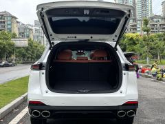 Changan CS75PLUS Ultra 2.0T Version - photo 12