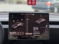 Tesla Model 3 634km Rear-Wheel Drive Edition - ფოტო 11