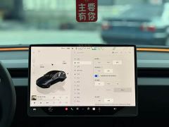Tesla Model 3 634km Rear-Wheel Drive Edition - ფოტო 12