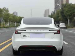 Tesla Model 3 634km Rear-Wheel Drive Edition - photo 8