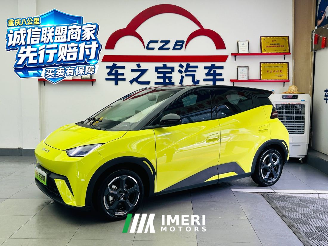 BYD Seagull 305km Free Version - car from China