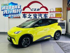 BYD Seagull 305km Free Version - photo 1