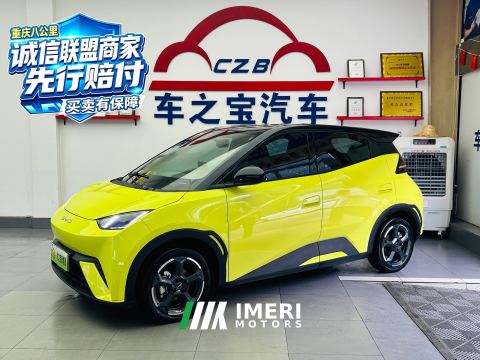 2023 BYD Seagull 305km Free Version - автомобиль из Китая