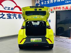 BYD Seagull 305km Free Version - photo 10