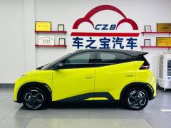 BYD Seagull 305km Free Version - photo 5