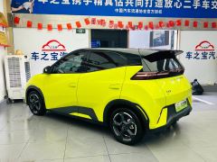 BYD Seagull 305km Free Version - photo 8