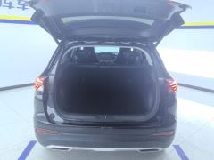 GAC GS4 270T Edition - photo 7