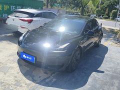 Tesla Model 3 556km Rear-Wheel Drive Edition - фото 1