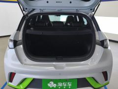 BYD Dolphin 405km Stylish Edition - photo 7