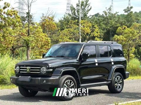 2023 Tank 300 City Edition 2.0T Stylish - ავტომობილი ჩინეთიდან
