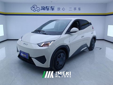 2025 BYD Seagull Smart Driving Edition 305km Vitality Edition - ავტომობილი ჩინეთიდან