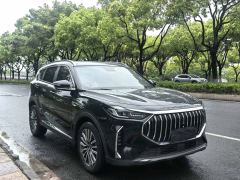 Jetour X70 PLUS 1.5T Luxury Edition 5 - ფოტო 3