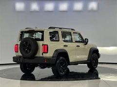 Tank 300 2.0T Conquistador Gasoline - фото 9