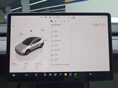 Tesla Model Y 554km Rear-Wheel Drive Edition - фото 20