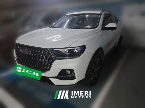 2023 Haval H6 Guochao Edition 1.5T 2WD Champion Edition - ავტომობილი ჩინეთიდან