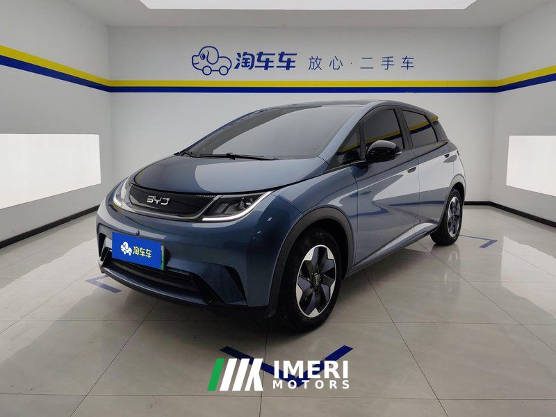 BYD Dolphin 420km Free Version - ავტომობილი ჩინეთიდან