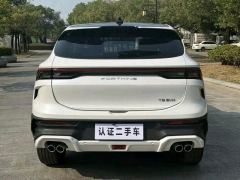 Forthing Hafei T5 EVO T5 EVO Edition 1.5T - ფოტო 12