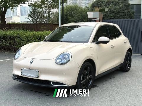 2024 Ora Great Wall Good Cat 501km Version 135kW - автомобиль из Китая