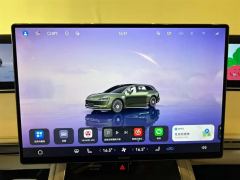 Stelato S9T EREV Edition 251km Max(192) - photo 11