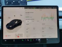Tesla Model Y 554km Rear-Wheel Drive Edition - ფოტო 20