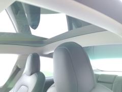 Tesla Model 3 556km Rear-Wheel Drive Edition - ფოტო 15