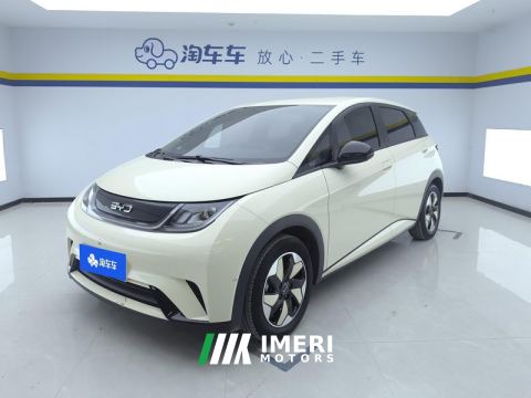 2025 BYD Dolphin 420km Free Version - ავტომობილი ჩინეთიდან